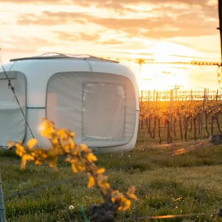 Luxury tent Romantik Zwischen Weinreben - Cube Romerberg
